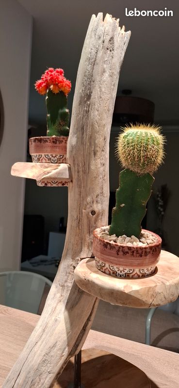 Déco bois flotté (image 2)