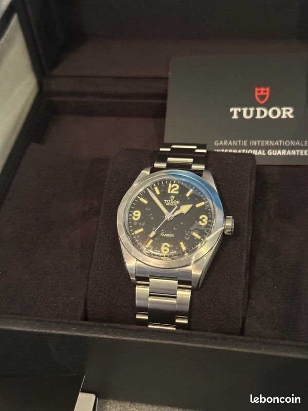 Tudor ranger (image 5)