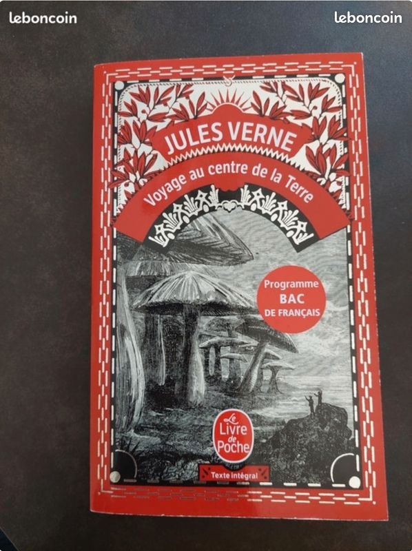 Voyage au centre de la Terre (image 1)