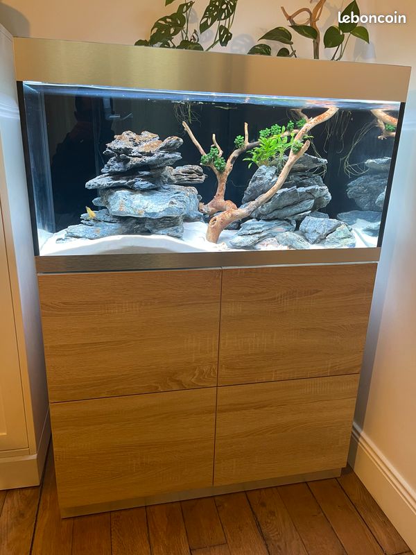Aquarium OASE HighLine 200 litres + Meuble - quasi neuf (image 1)