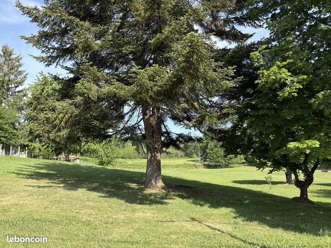 Terrain 1 967 m² Saint Sauveur · à Saint-Sauveur · 35 000 €