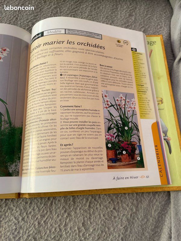 Livre: les plantes d’intérieur faciles (image 4)