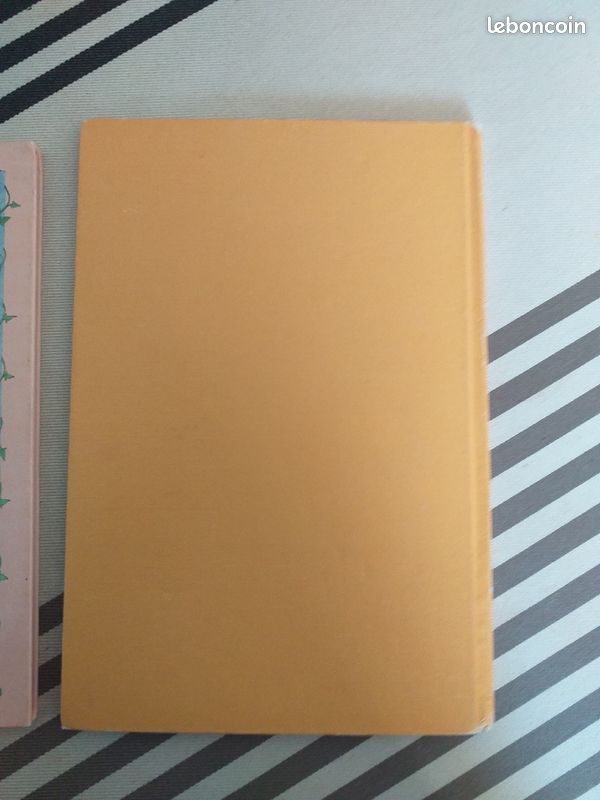Lot 3 Livres pour enfants (image 7)