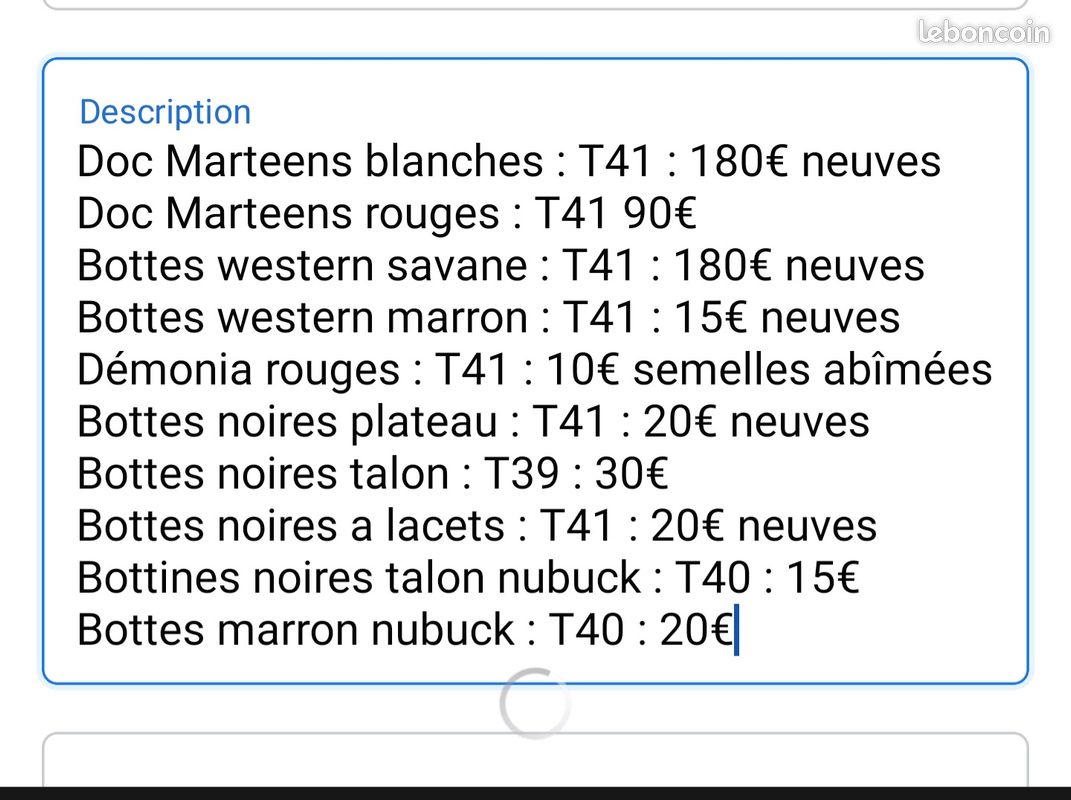 Bottes et bottines (image 10)