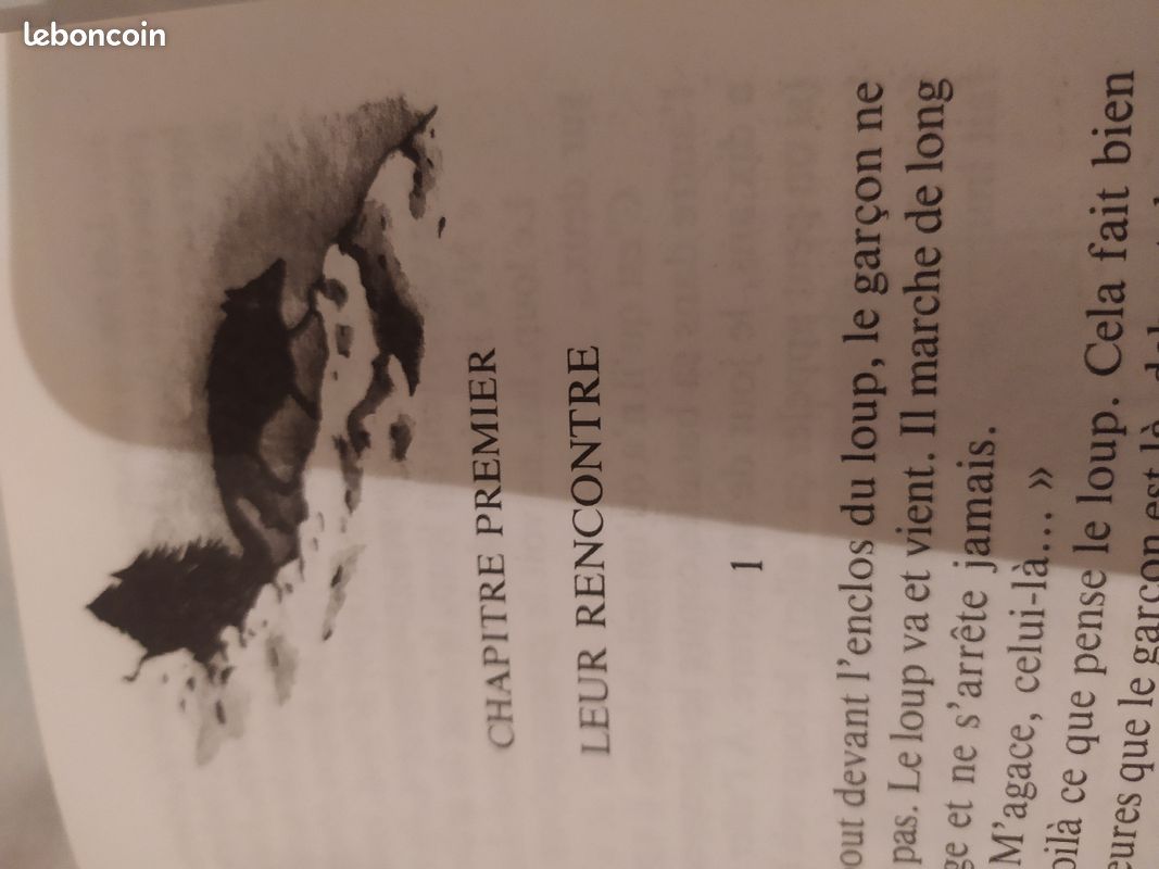 L oeil du loup de Daniel Pennac (image 6)