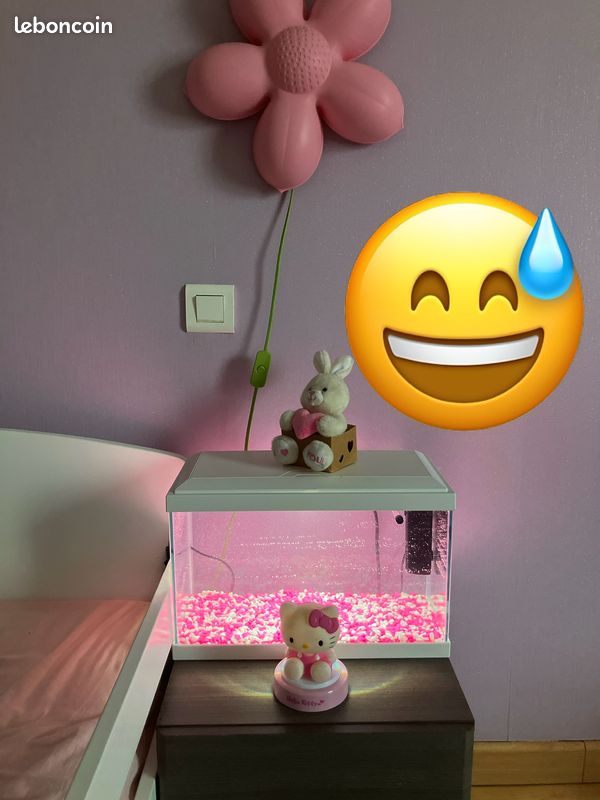Aquarium 17L avec filtre lampe Led et déco (image 1)