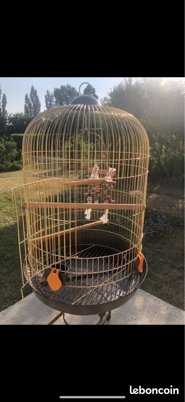 Cage oiseau (image 1)