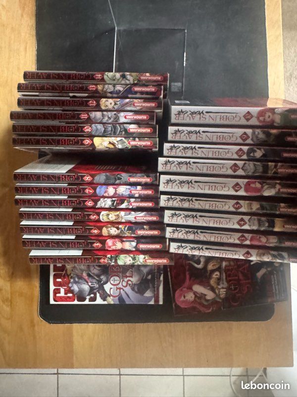 Goblin slayer (image 4)