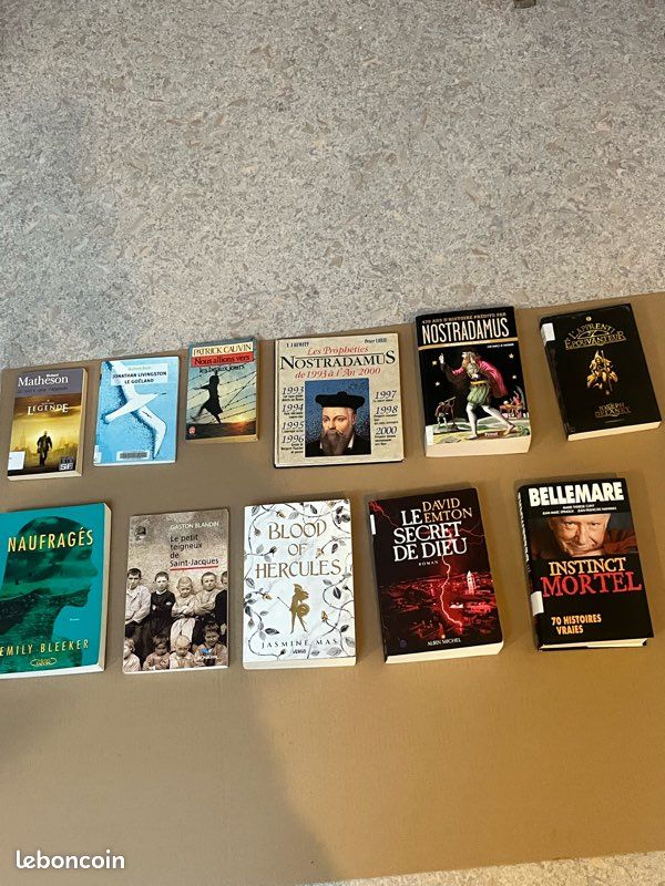 Livre et roman (image 1)