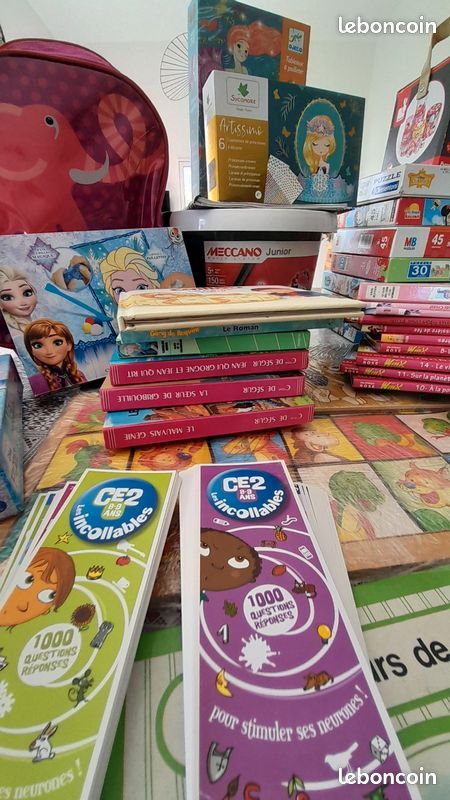 Gros lot de jouets, puzzles, livres, Lego, Barbie, micro karaoké, palmes, bottes de neige, jeux Meccano, valise éléphant : tout doit partir (image 5)