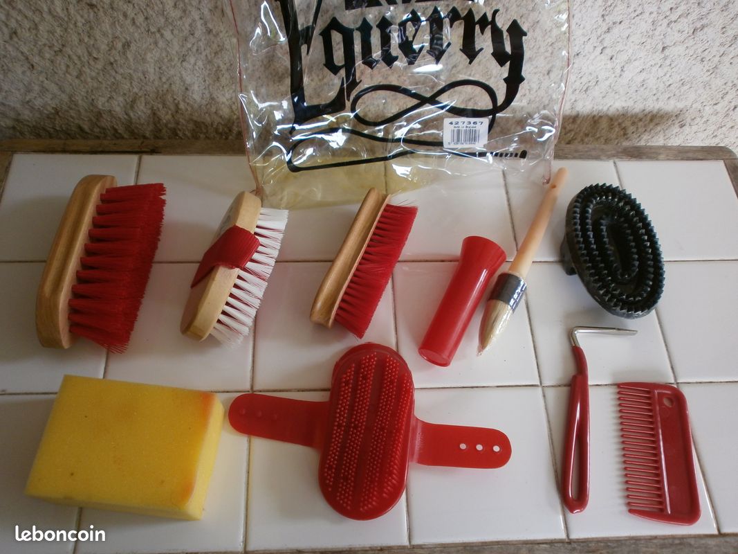 Blaireau Jeune Marié Brosse De Toilettage Pour Animaux Compagnie Outil