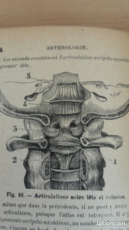 Livre ancien (1939) -Nouvel Abrégé d'Anatomie Descriptive (orné de 205 figures) (image 5)