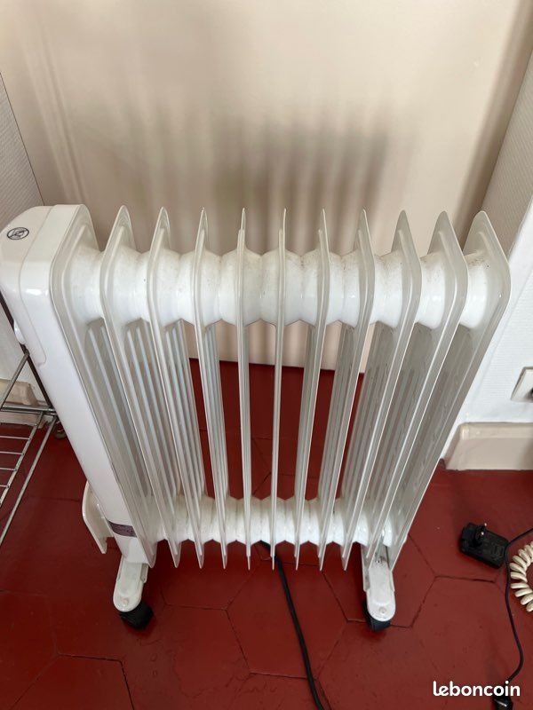Radiateur bain d’huile Oceanic 2500w (image 5)