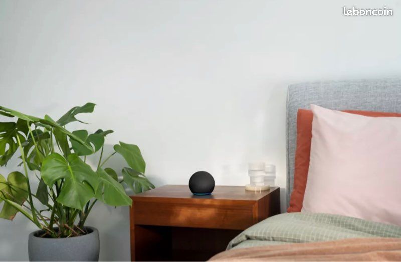 Assistant vocal Amazon Echo Dot 5 Anthracite (image 6)