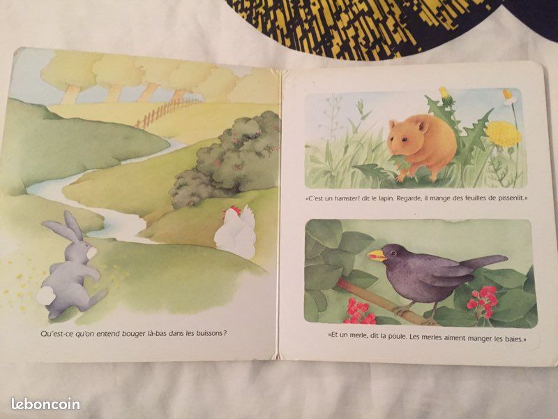 La poule et le lapin (image 3)