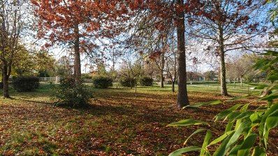 Terrain 1000 m2 à La Magdelaine sur tarn · à La Magdelaine-sur-Tarn · 95 000 €
