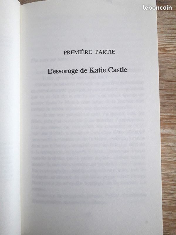 "Splendeur et décadence de Katie Castle", Rebecca Campbell (image 3)