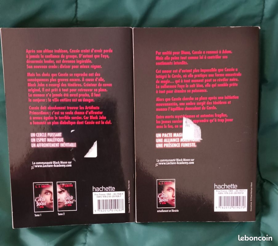 3 livres de L J Smith (image 5)