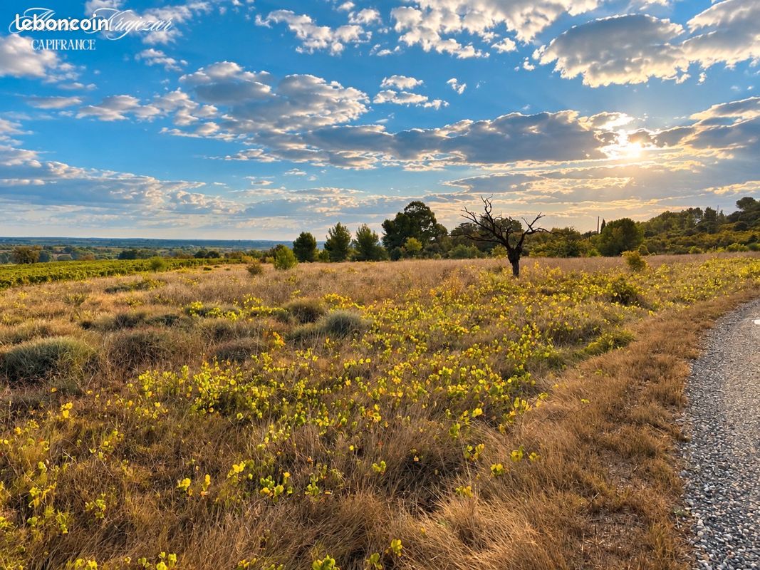 Terrain agricole 10 097 m² Corneilhan · 41 000 €