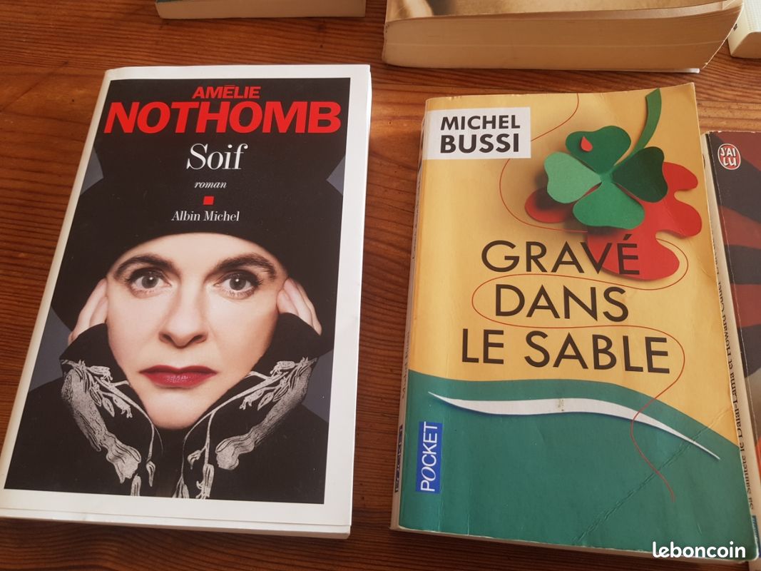 Livre roman,essai,philo,développement personnel (image 2)