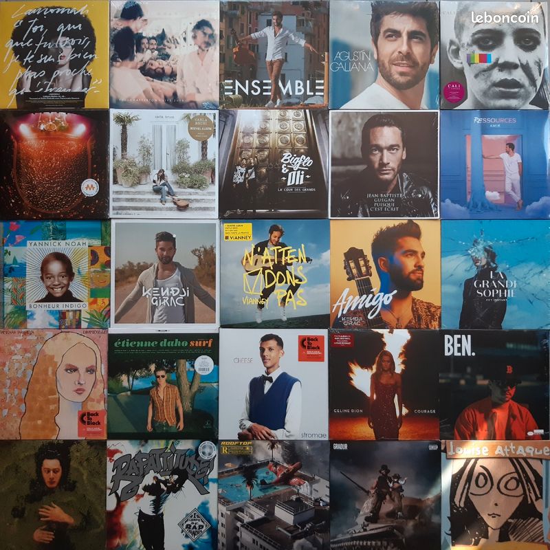 La Grande Sophie +10000 vinyles Rock, Rap, Hard-Rock, Disco, Ch.Française, Reggae, Jazz, Electro (image 2)