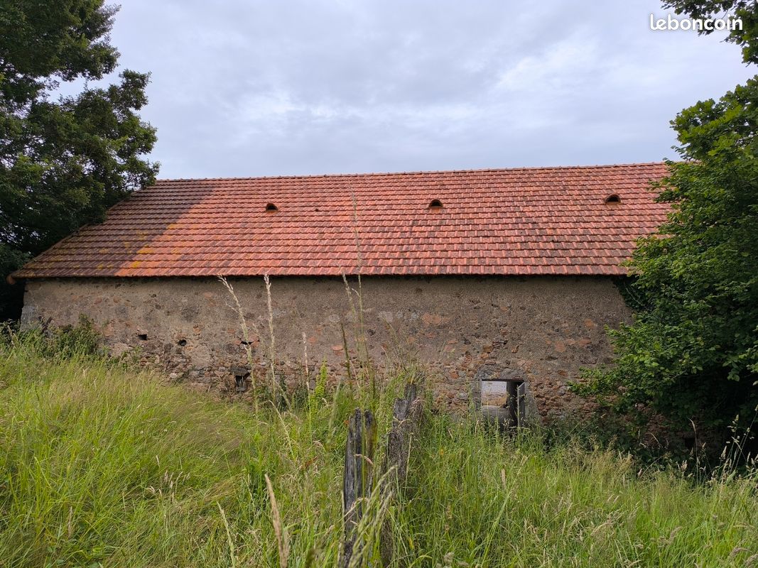Charpente bois et toiture (image 2)