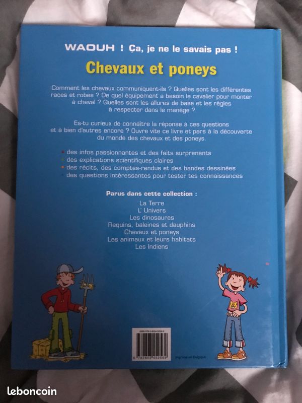 Chevaux et poneys (image 2)