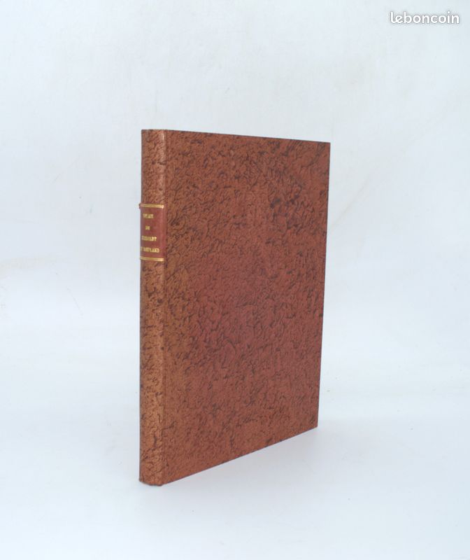 olivenbaum 180cm Künstlicher Olivenbaum 180 cm schnell günstig online kaufen main image 0