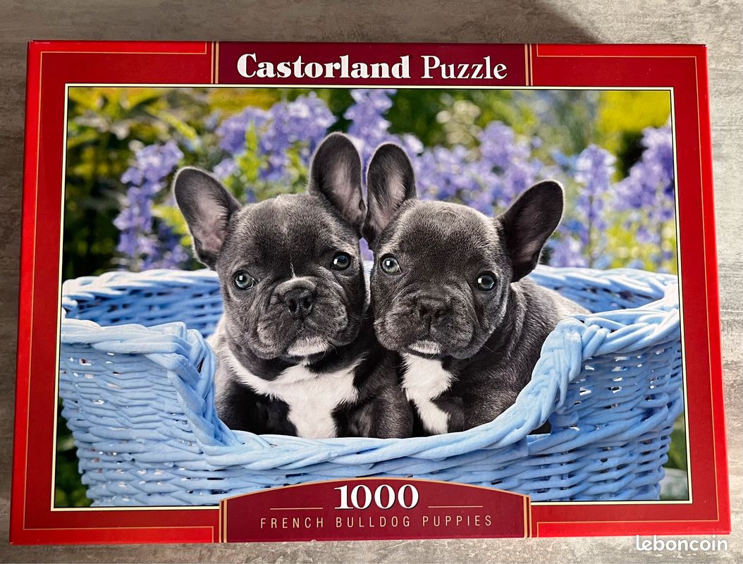 Puzzle 1000 pièces Castorland (image 1)