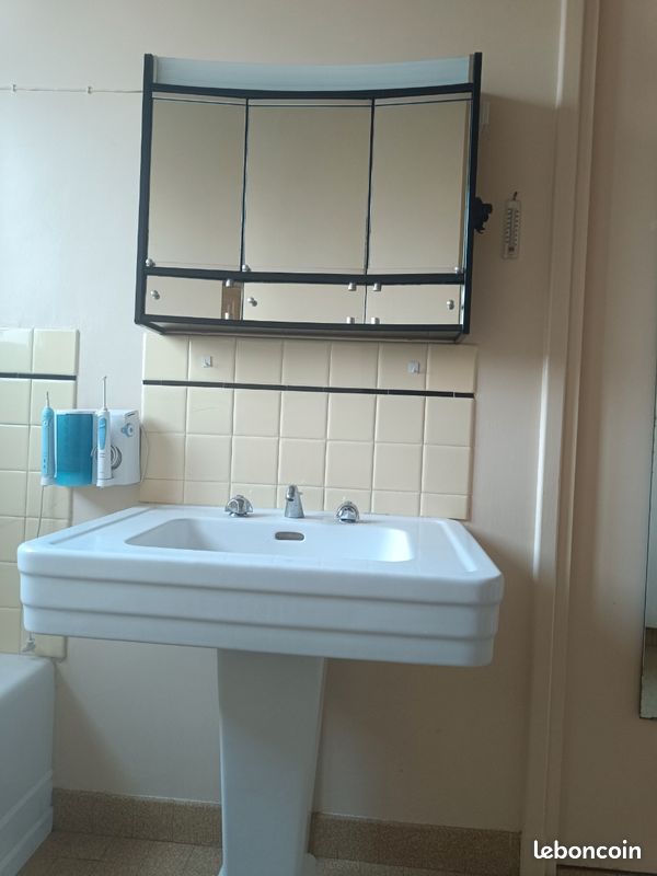 Salle de bain vintage (image 4)