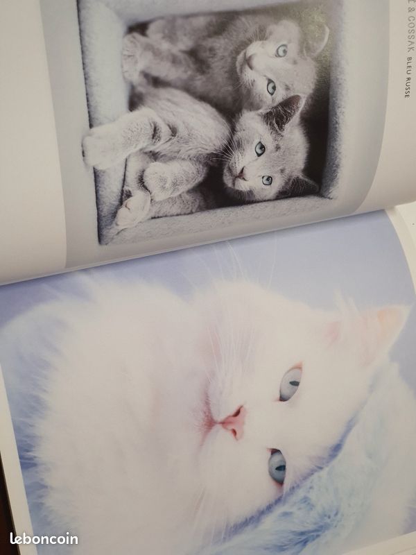 Beau livre Chats (image 4)