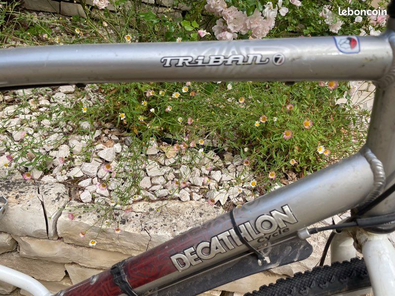 Vélo tous chemins VTC (image 1)