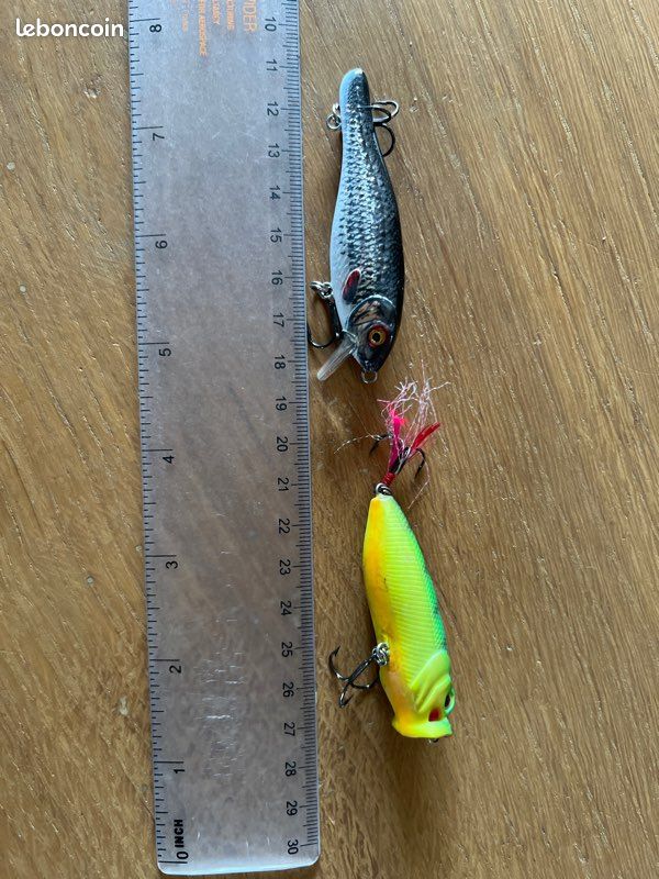 Appât à brochet pour une pêche réussie | CHASSEUR – JAEGER