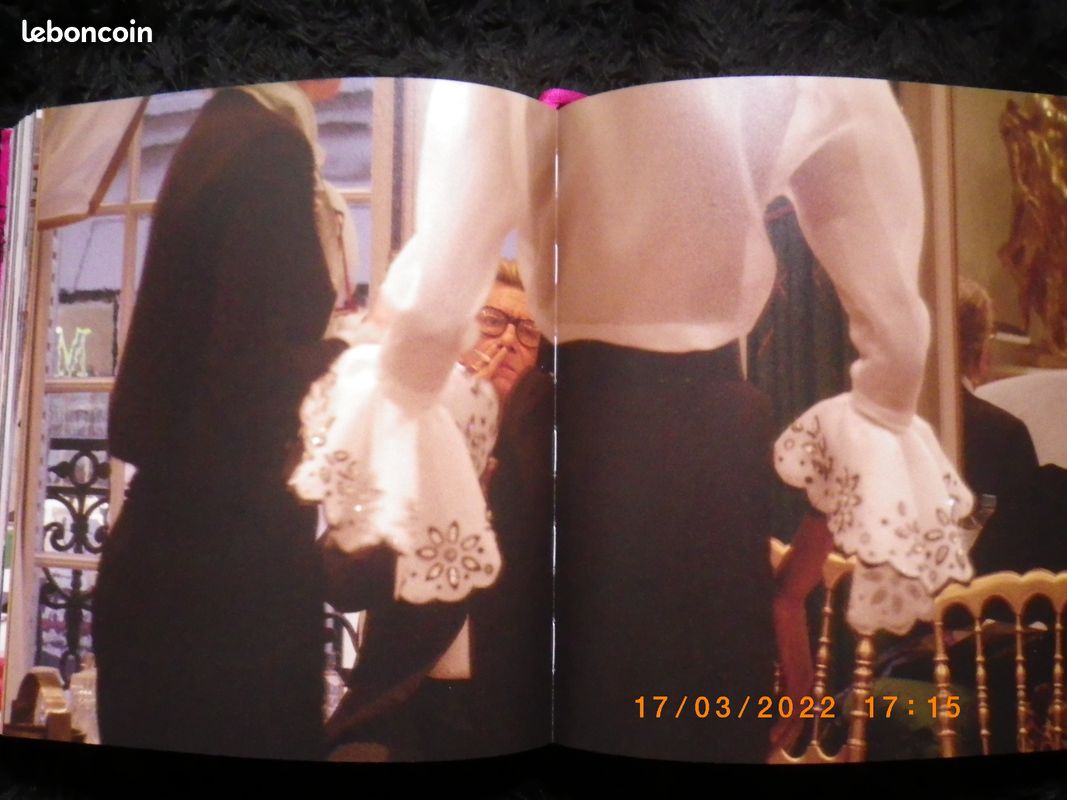 Livre Yves Saint Laurent (image 7)
