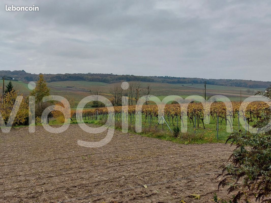 Maison en viager 5 pièces 145 m² - Saint-Preuil 16130 (image principale 6)