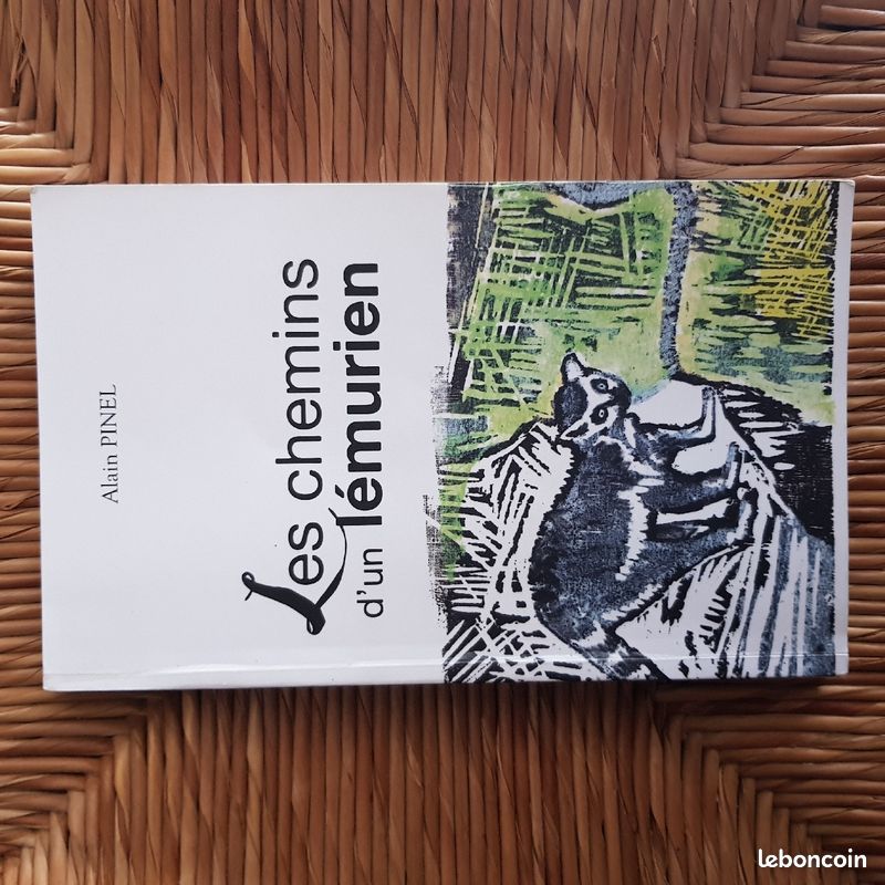 Les chemins d'un lémurien (image 1)