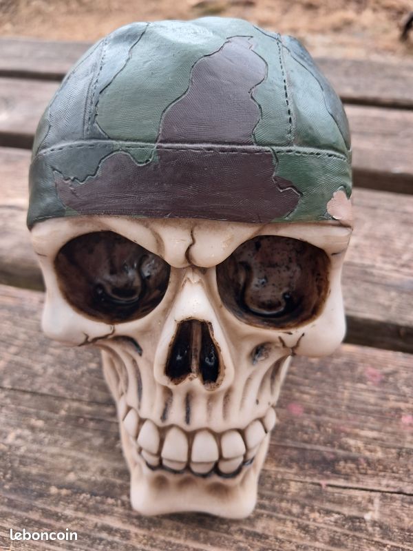 Crâne 💀 décoratif (image 1)