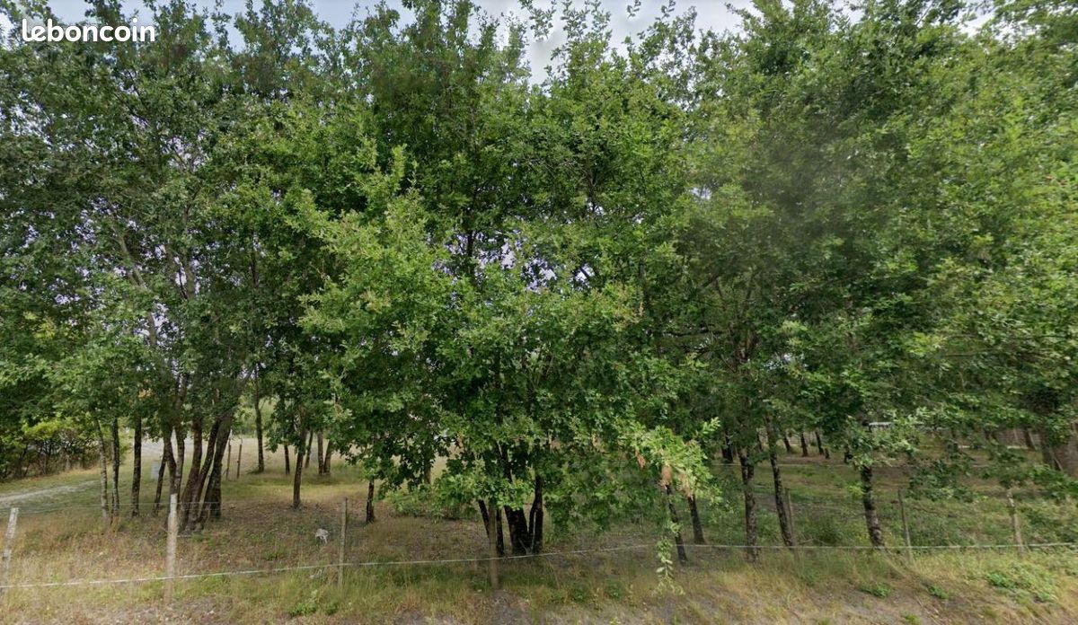 Terrain 808 m² Gujan Mestras · à Gujan-Mestras · 350 000 €