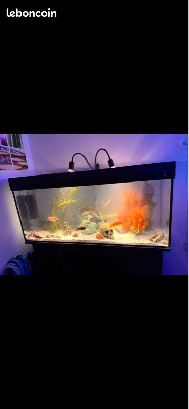 Vend aquarium 260 litres + meuble + quelques décoration + lampe (image 1)