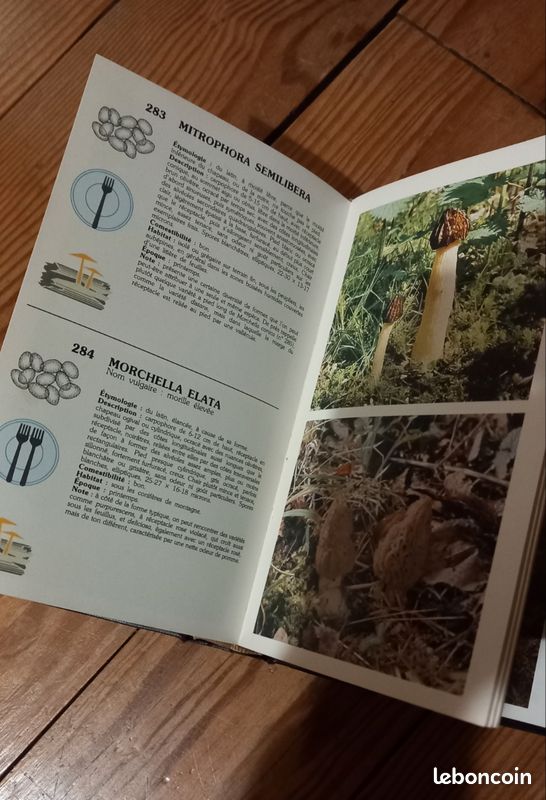 Le guide des champignons (image 5)