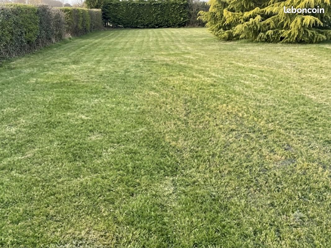 Terrain 3 000 m² Prisse · à Prissé · 210 000 €