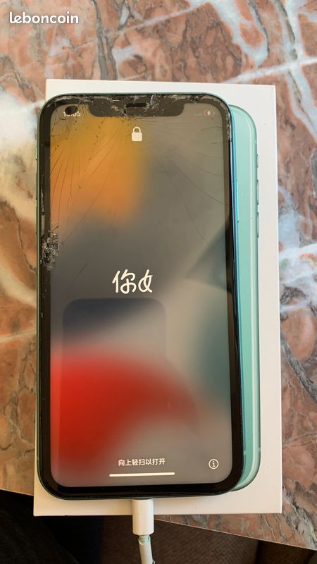 IPhone 11 vert (image 10)