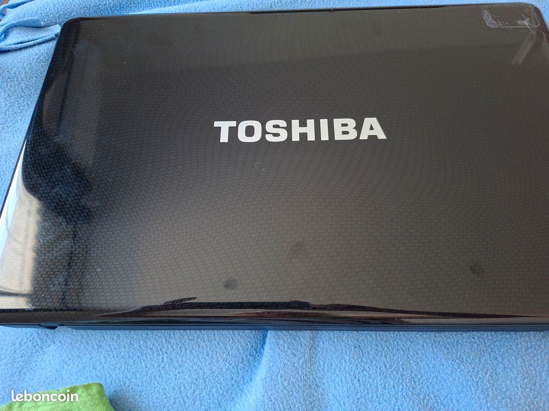 Écran LCD Pour Toshiba Satellite L670D-13R - Remplacement D'occasion, état Fonctionnel