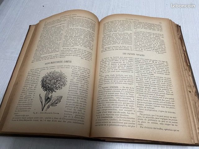 Livre revue horticole ancienne (image 5)