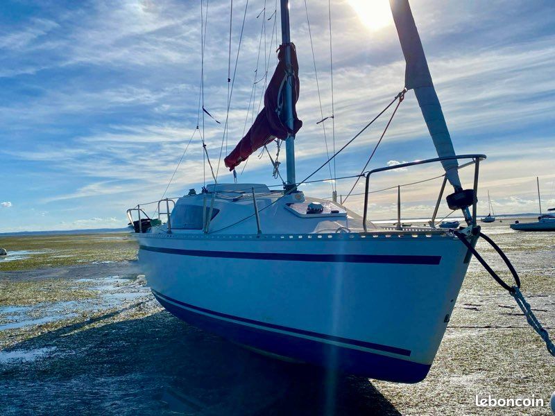 Gib Sea 242 — Vedi foto 1
