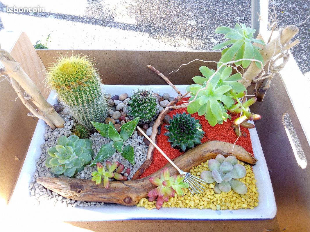 Mini jardin (image 3)