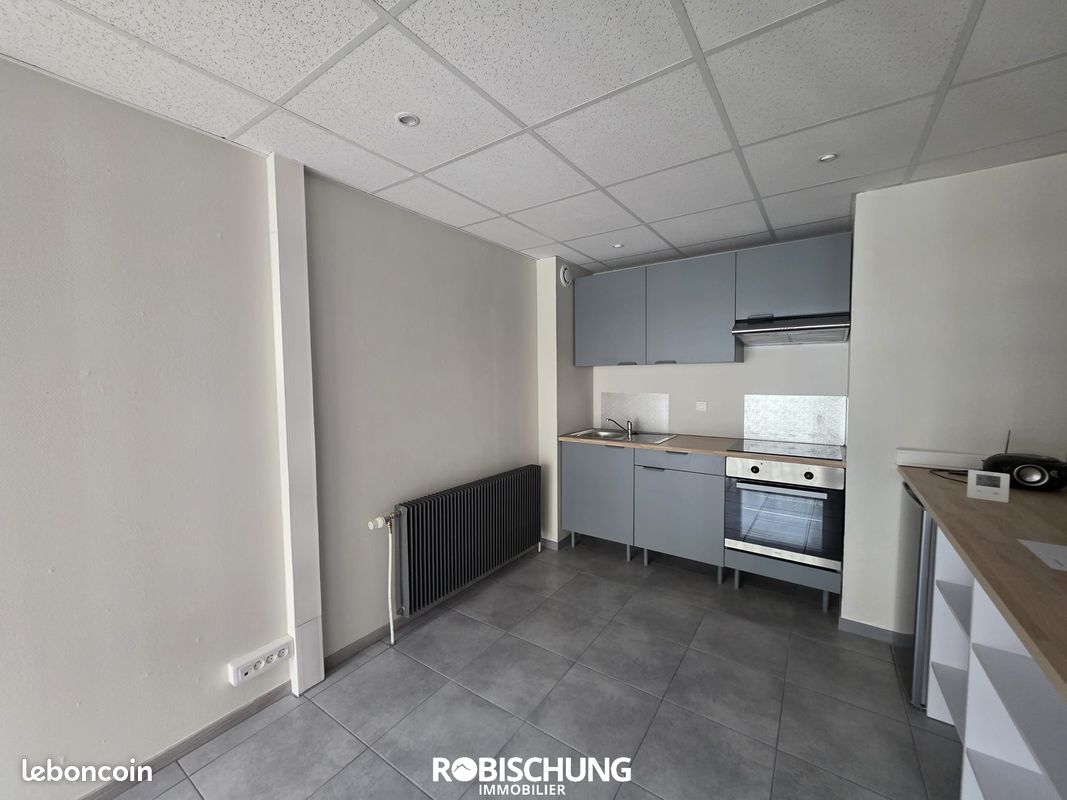 Appartement 2 pièces 42 m² · à Dannemarie · 42 m² · 490 €/mois
