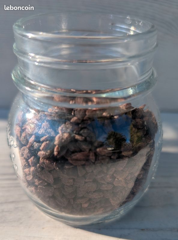 Lot de petits éclats / granulés décoratifs marron 🤎 – 160 g (image 2)