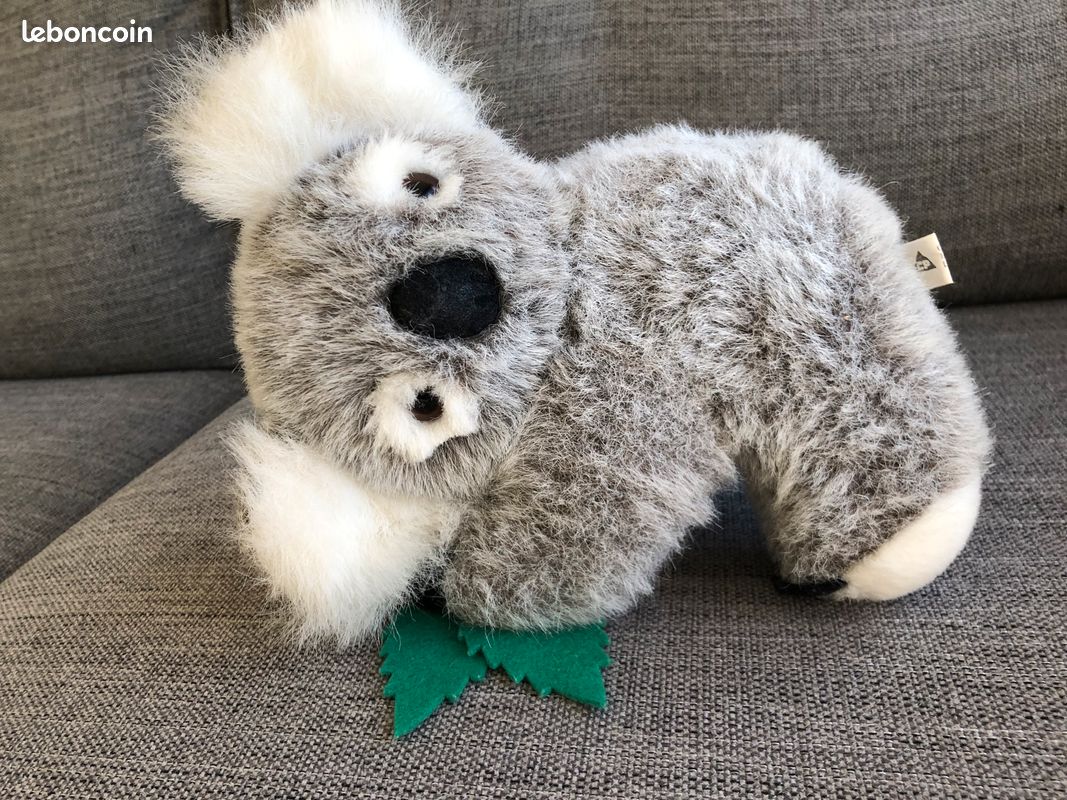 Animal Koala National Geographic Peluche Polymer House Peluche