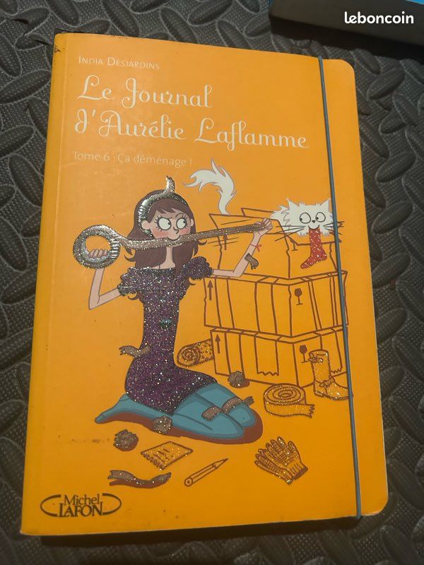 Le journal d’Aurélie Laflamme (image 5)